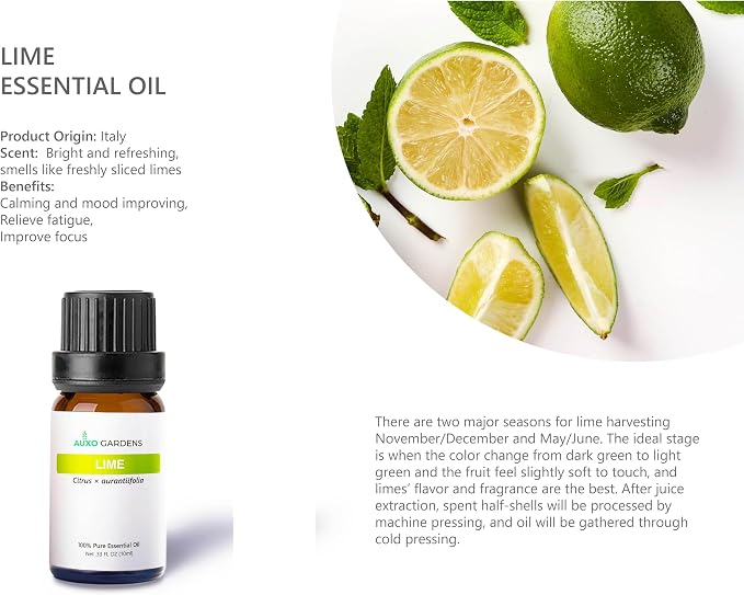 Citrus Essential Oil Set - Pack of 6, 10ml, Pure Therapeutic Grade Fruity Essential Oils includes Lemon, Grapefruit, Sweet Orange, Lime, Bergamot and Petitgrain