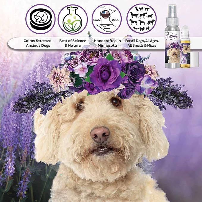 The Blissful Dog Golden doodle Relax Dog Aromatherapy Spray for Your Dog's Anxiety