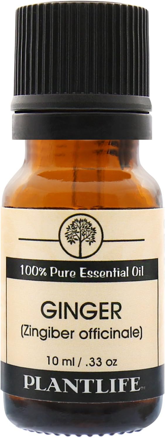 Plantlife Ginger Aromatherapy Essential Oil - Straight from The Plant 100% Pure Therapeutic Grade - No Additives or Fillers - 10 ml