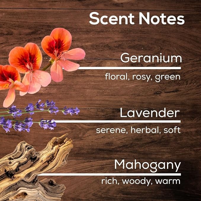 Scent Fill Mahogany Teak Plug in Air Freshener, Scented Oil Refills, 2 Refills + Diffuser