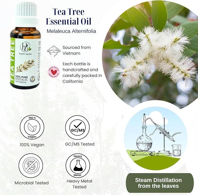 Hami’s Garden Tea Tree Essential Oil – 100% Pure and Natural – Premium Grade with Glass Dropper – for Massage, Skin Care, Household Application and Diffuser – 0.68 fl Oz/20 mL