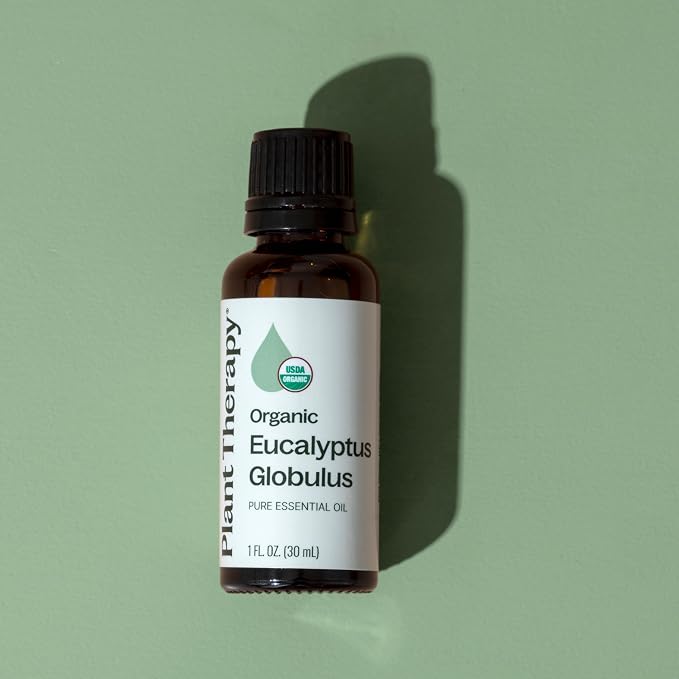 Plant Therapy Organic Eucalyptus Globulus Essential Oils 30 mL (1 oz), 100% Pure, USDA Certified Organic, Undiluted, Natural Aromatherapy for Respiratory Support & Focus