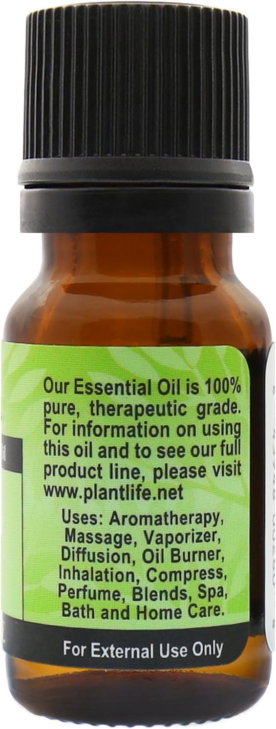 Plantlife Fennel Aromatherapy Essential Oil - Straight from The Plant 100% Pure Therapeutic Grade - No Additives or Fillers - 10 ml