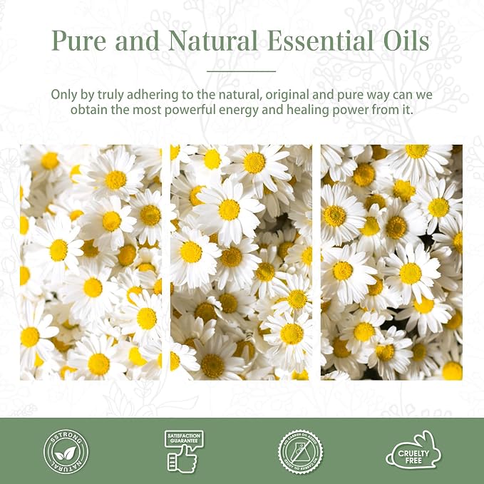 PHATOIL 100ML Chamomile Essential Oil - 3.38FL.OZ Essential Oils for Diffusers for Home - Chamomile Oil Aromatherapy Oils with Glass Dropper