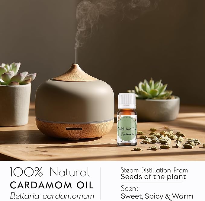 Cardamom Essential Oil | 100% Pure & Natural Cardamom Seed Oil with Warm Sweet Spicy Aroma | for Diffuser, Candle Making, Perfumery & DIY Aromatherapy Blends, 0.34 fl oz