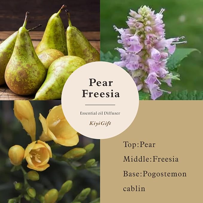 Reed Diffuser Set, Scent Diffuser with Sticks, Home Fragrance, Reed Diffuser for Bathroom, Shelf Decor, 4.06oz Pear Freesia