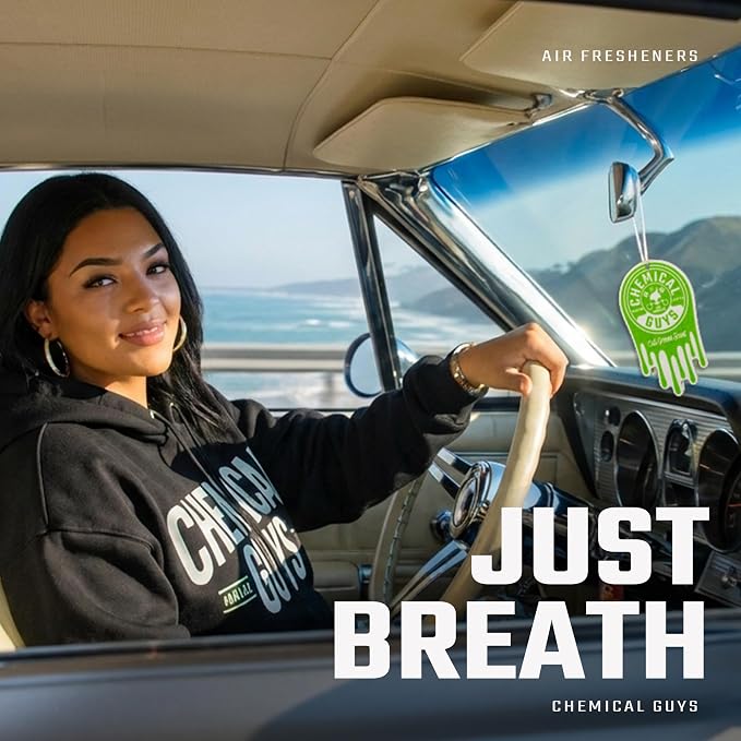 Chemical Guys Hanging Car Air Freshener 12-Pack, Cali Greens Premium Fresh Floral & Refreshing Green Fragrance, Rearview Mirror Paper Fresheners for Cars, Trucks, SUVs, RVs & Boats