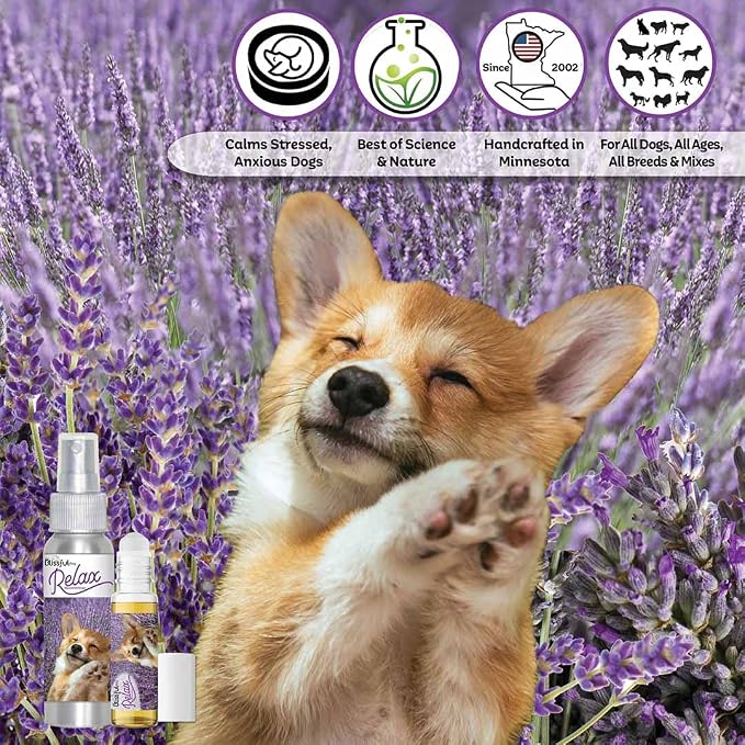 The Blissful Dog Corgi Relax Dog Aromatherapy Spray for Your Dog's Anxiety