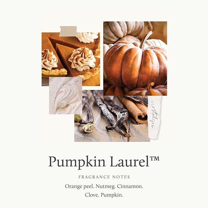 Thymes Pura Refills – 2 Pack of Oil Diffuser Scents – Long-Lasting Pura Diffuser Refills – Premium Home Fragrance – Notes of Nutmeg, Cinnamon, Clove, Pumpkin & Orange Peel (Pumpkin Laurel, Pack of 2)