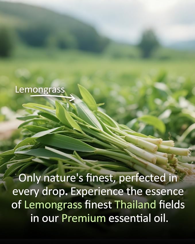 Pure Lemongrass Essential Oil Citrus Aromatherapy Natural for Hair Home Body Skin Energizing Diffuser Oils 4 Fl Oz