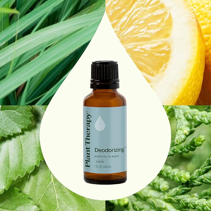 Plant Therapy Deodorizing Essential Oil Blend 30 mL (1 oz) 100% Pure, Undiluted, Therapeutic Grade