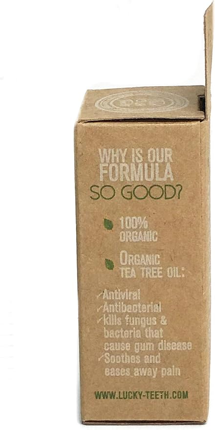Organic Bamboo Fibre with Activated Charcoal Floss REFILLS with Tea Tree and Peppermint essential oils 60 m/66 yds - by Lucky Teeth (2 Pack)