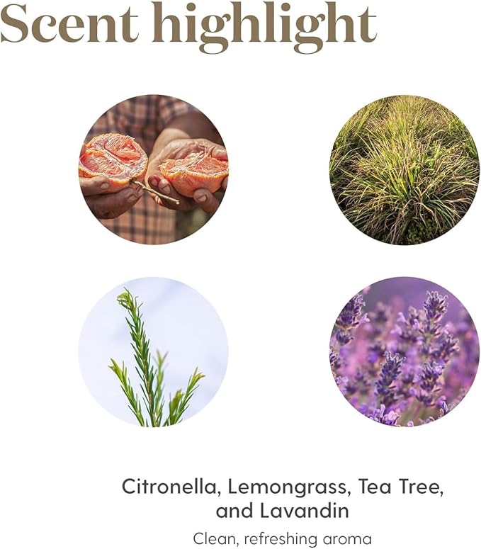 Purification Essential Oil 15ml by Young Living Essential Oils