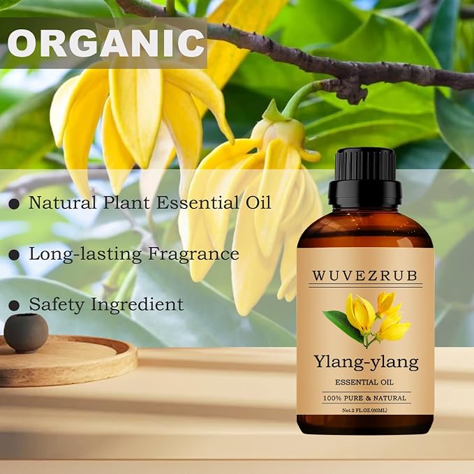 Ylang-Ylang Essential Oils, 60ML Pure and Natural Essential Oil for Aromatherapy Diffuser - Ylang-Ylang /2 Fl Oz
