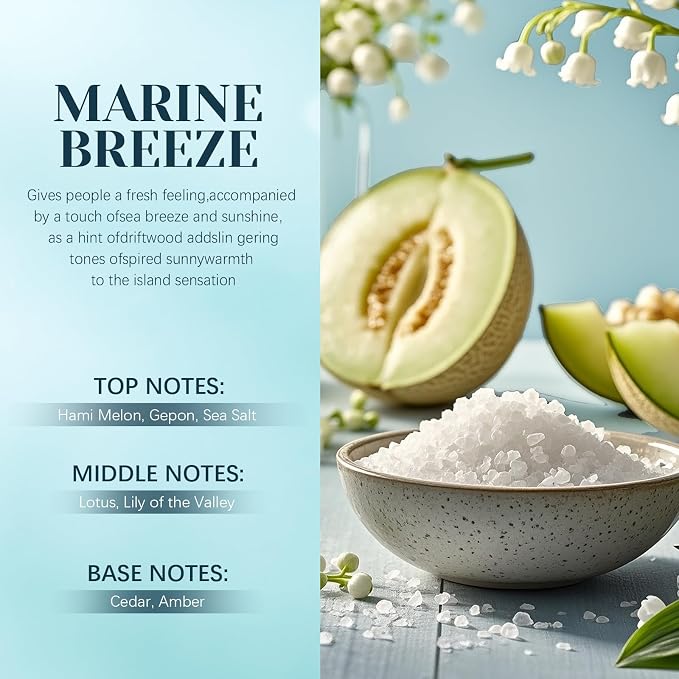HANOLLY Car Air Freshener Hanging 2 Pack – Marine Breeze Car Freshener Diffuser, Fall Car Air Freshener for Women and Men, Lasting up to 45 Days. 0.27 FL OZ/8ML