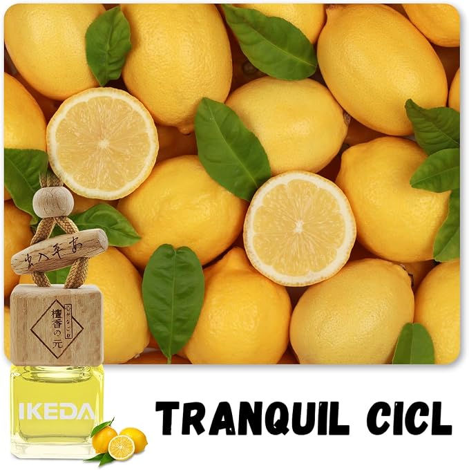 ikeda fragrance Car Air Freshener | Square Hanging Car Scent with Vent Clip Bottle | Long Lasting Fragrance | Essential Oil Diffuser | Odor Eliminator Deodorizer (Square-Tranquil Girl)