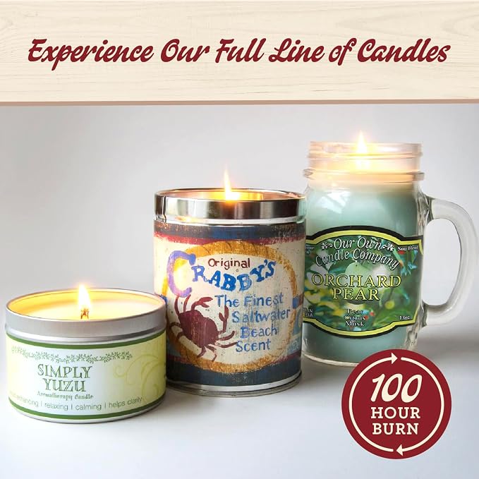Our Own Candle Company, Winter Wonderland Scented Mason Jar Candle, 100 Hour Burn Time, 13 Ounces