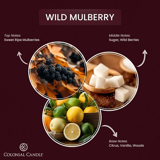 Colonial Candle Wild Mulberry Scented Candle Jar, Highly Fragranced Candles for Home Scented, Mottled Wax Candle, 2 Wick, 8 oz - Made in the USA