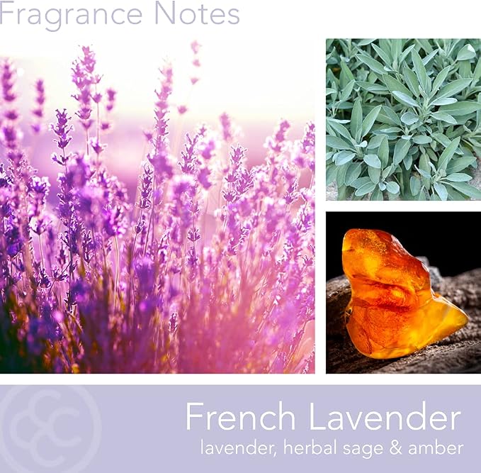 Colonial Candle French Lavender Scented Jar Candle, Classic Cylinders Collection, 2 Wick, Purple, 19 oz - Up to 120 Hours Burn
