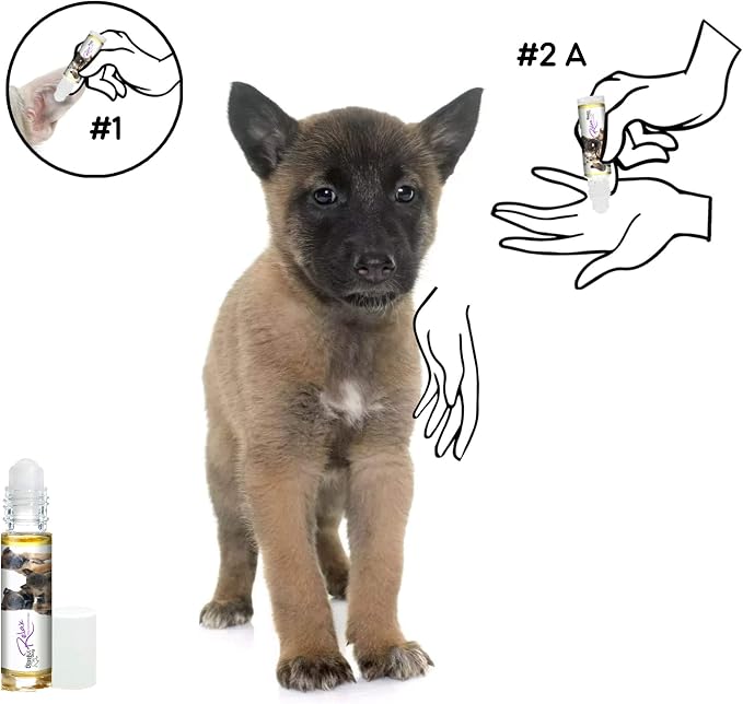 The Blissful Dog Belgian Malinois Dog Relax Roll-ON Aromatherapy for Dogs - Anxiety Relief for Dogs