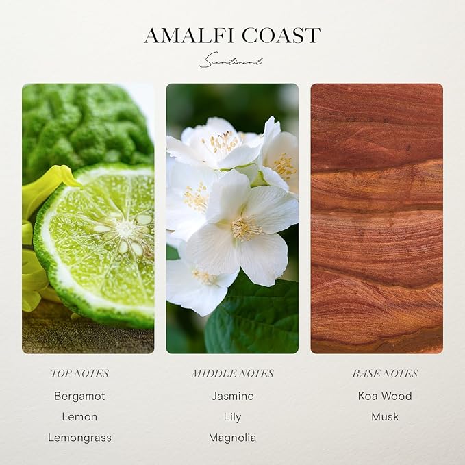 Scentiment Amalfi Coast Diffuser Oil - Premium Hotel Scent with Notes of Citrus, Lemongrass & Jasmine Home Scent, Hotel Fragrance Oil Diffuser Refill - 1.69 fl oz (50 mL)