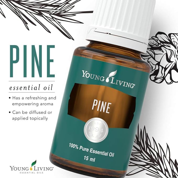 Young Living Pine Essential Oil | 15 ml | Fresh, Woodsy Aroma for DIY Cleaning, Aromatherapy Diffusion, Massage, Meditation, Topical Use (Dilution Required)