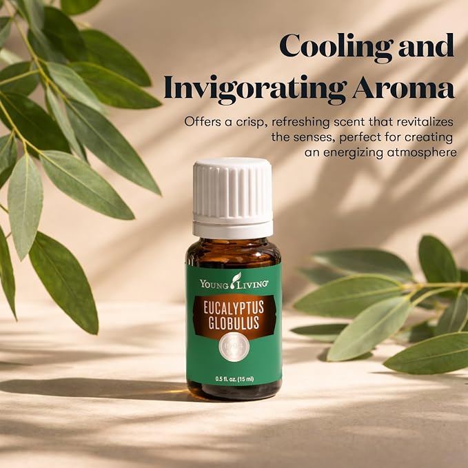Young Living Eucalyptus Globulus Essential Oil | 15 ml | Cooling, Refreshing Aroma for Diffusion & Massage | Supports Breathing Comfort & Relaxation | Premium Seed to Seal® Quality Oil