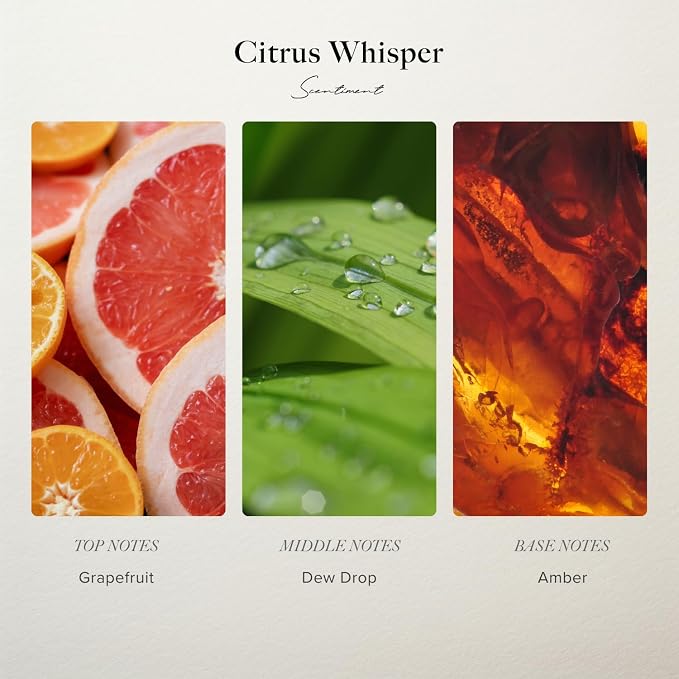 Scentiment Citrus Whisper Diffuser Oil - Premium Hotel Scent with Notes of Grapefruit, Dewdrop & Warm Amber Home Scent, Hotel Fragrance Oil Diffuser Refill - 1.69 fl oz (50 mL)