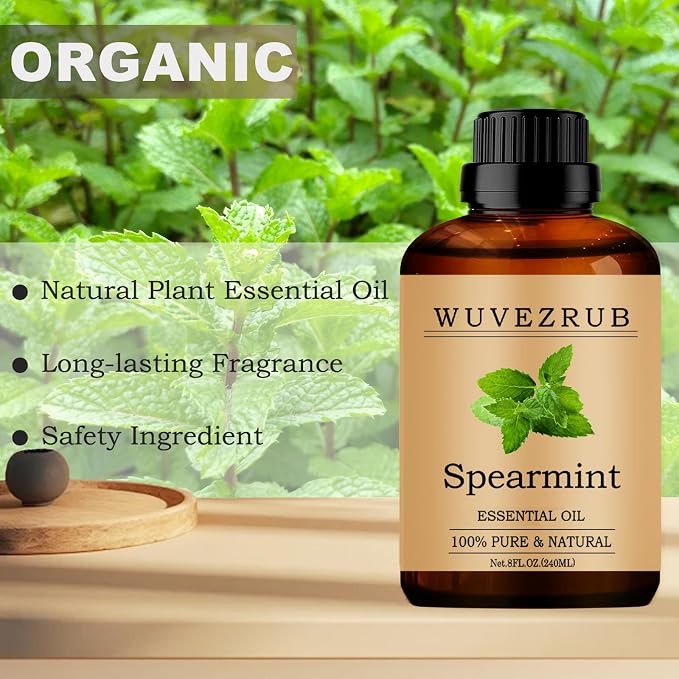 Spearmint Essential Oils, 240ML Pure and Natural Essential Oil for Aromatherapy Diffuser - Spearmint /8 Fl Oz
