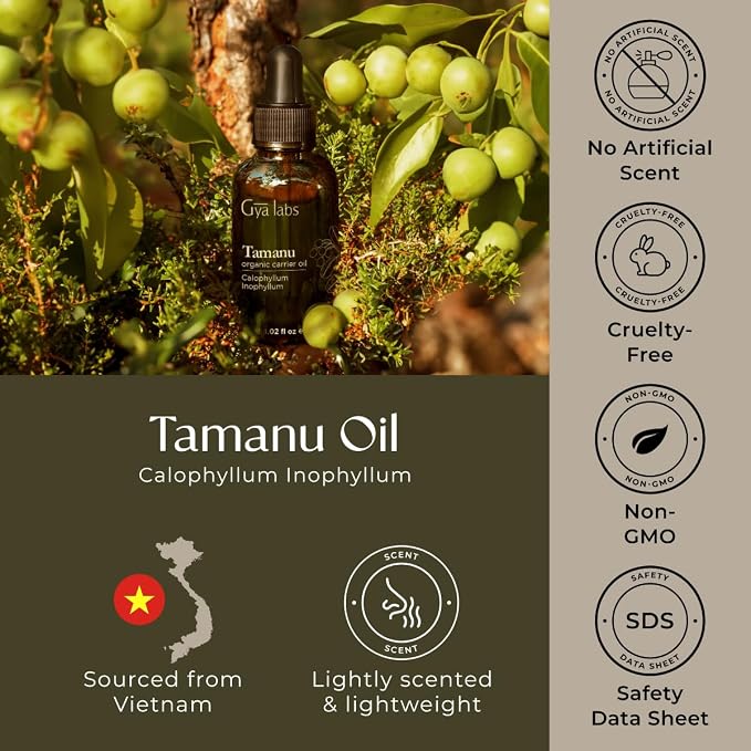 Gya Labs USDA Organic Tamanu Oil - 1 Fl Oz - Carrier Oil for Hair, Skin, Face, Scalp & Body Massage