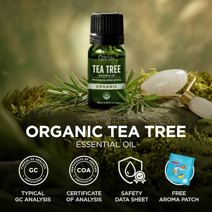 Gya Labs USDA Organic Tea Tree Essential Oil for Skin, Nails - 0.34 Fl Oz - Face, Hair, Diffuser, Aromatherapy, DIY Candle Making Scents