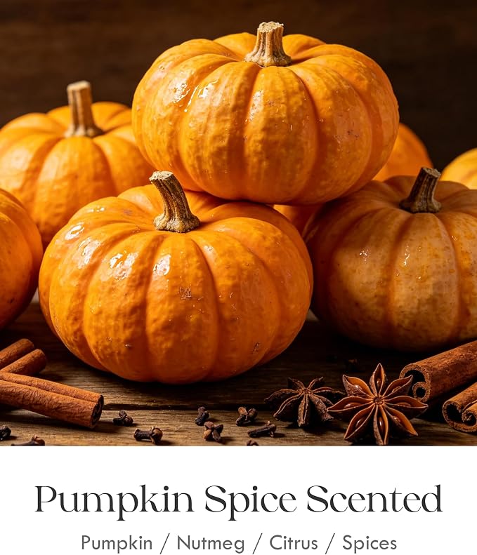 AOOVOO Pumpkin Spice Odor Eliminating Highly Fragranced Candle - Eliminates 95% of Pet, Smoke, Food, and Other Smells Quickly, Non Toxic Air Freshing Soy Candle, 9 oz Up to 50 Hours Burn time