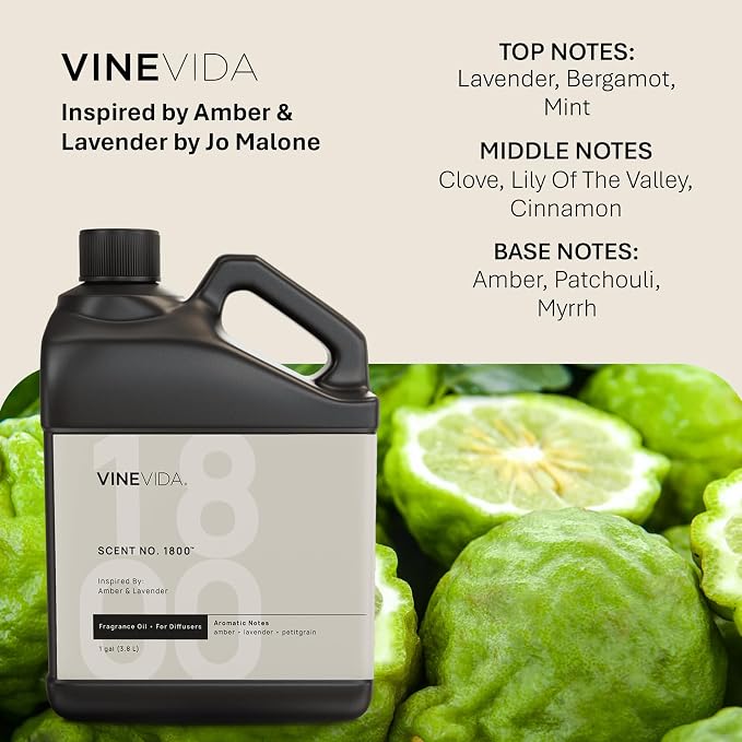 VINEVIDA [128 Oz] Inspired by: Amber & Lavender; Diffuser Oil Refill | Premium Scent Diffuser Oil for Home | Non-Toxic Fragrance