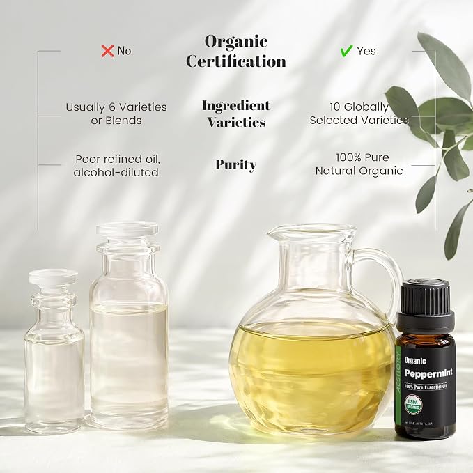Organic Essential Oils Gift Set, Top 10x10ML-100% Pure Natural Aromatherapy for Diffusers, Humidifiers, Candle Making, Peppermint, Tea Tree, Lavender, Frankincense, Lemongrass, Eucalyptus & More