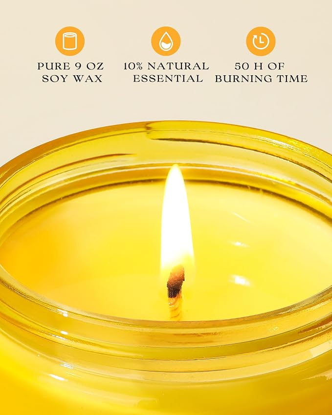 AOOVOO Citrus & Lemon 2 Pack Odor Eliminating Highly Fragranced Candle - Eliminates 95% of Pet, Smoke, Food and Other Smells Quickly, Non Toxic Air Freshing Soy Candle, 18 oz Up to 100 Hours Burn time