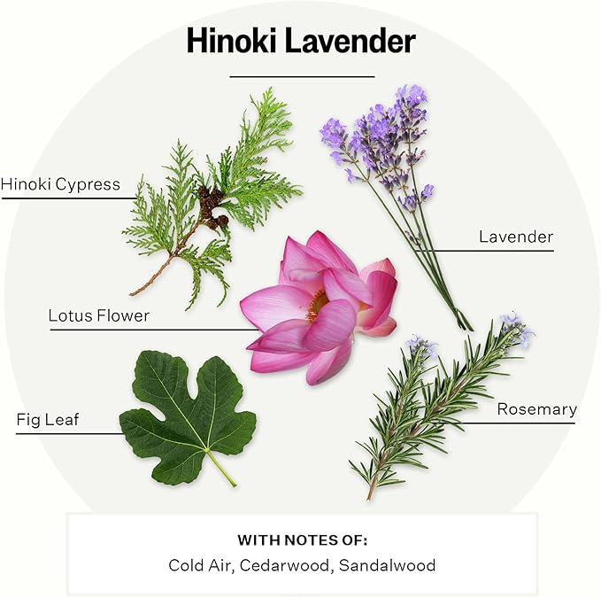 Apotheke Luxury Scented Reed Diffuser for Home, Hinoki Lavender - 6.7 Fl Oz Essential Oil Aromatherapy - 10 Rattan Scent Sticks Room Diffuser - Long-Lasting Fragrance for Bedroom, Home, Bathroom