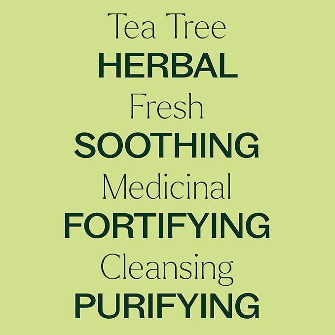 Plant Therapy Tea Tree Essential Oil, 100 mL (3.3 oz), Melaleuca alternifolia, 100% Pure and Undiluted, Natural Aromatherapy for Skin, Hair & Home