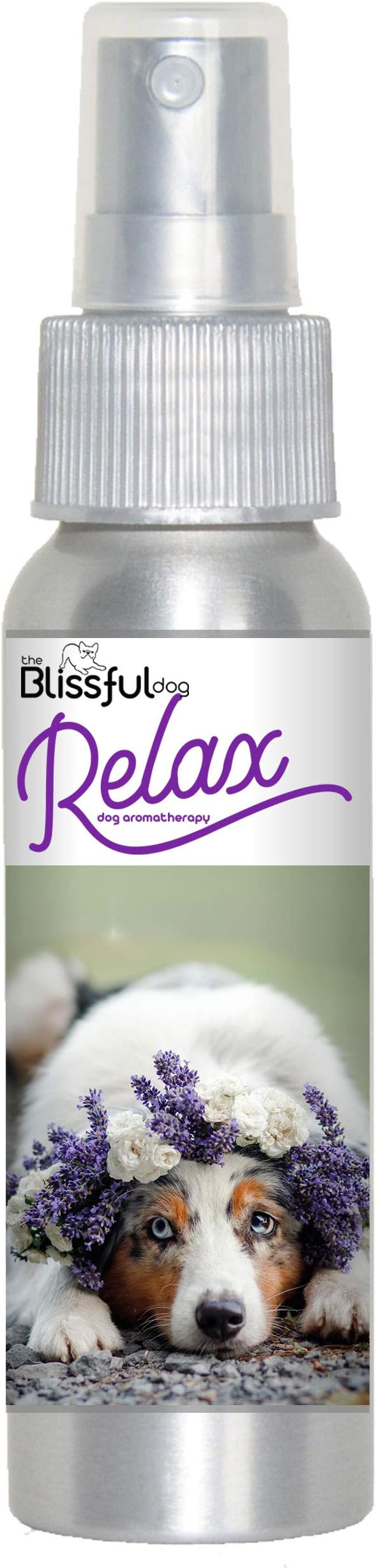The Blissful Dog Australian Shepard Relax Dog Aromatherapy Spray for Your Dog's Anxiety