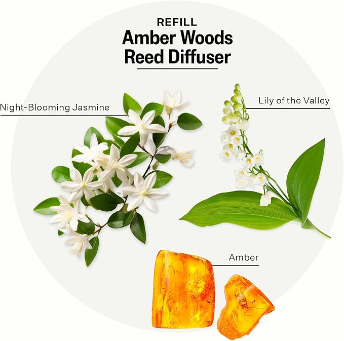 Apotheke Luxury Scented Oil Reed Diffuser Liquid Refill (Amber Woods) - Premium Home Fragrance Diffuser Refill Set with Sticks