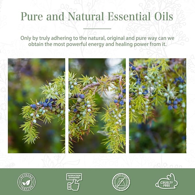 Juniper Berry 3.38fl.oz Essential Oil, PHATOIL Pure Aromatherapy Oils for Diffuser, Humidifier, Perfect for DIY Soap, Candle, Bath Bombs Making(100ml)