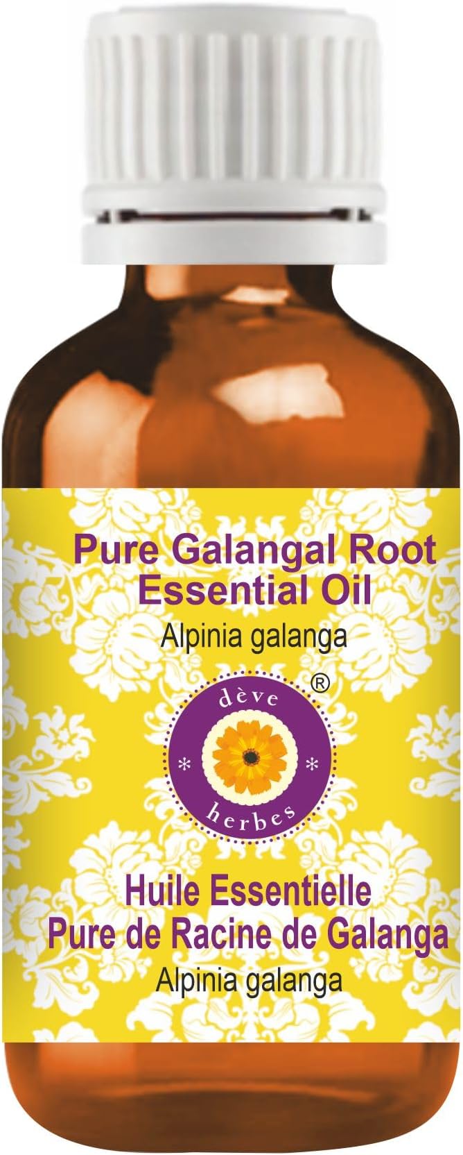 Deve Herbes Pure Galangal Root Essential Oil (Alpinia Galanga) Steam Distilled 15ml (0.50 oz)