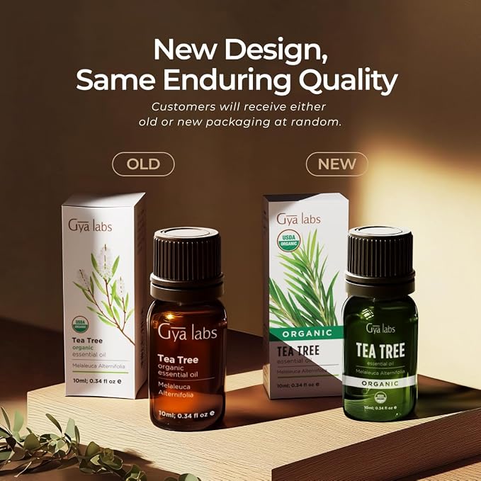 Gya Labs Organic Tea Tree Essential Oil - 0.34 Fl Oz - for Skin, Hair, Diffuser, Aromatherapy, DIY Candle Making Scents (Pack of 2)
