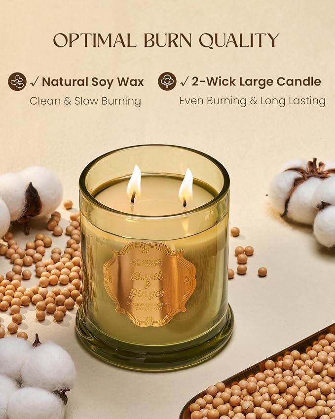 M&SENSE Basil Ginger Scented Candle 12.7oz Stress Relief Gift 2 Wick | Soy Wax, Non-Toxic, Air Purifying, Ideal for Bathtub Relaxation, Summer Candles