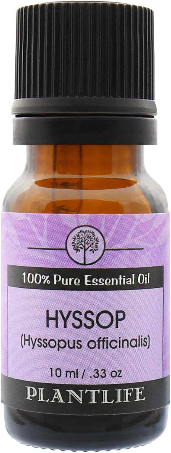 Plantlife Hyssop Aromatherapy Essential Oil - Straight from The Plant 100% Pure Therapeutic Grade - No Additives or Fillers - 10 ml