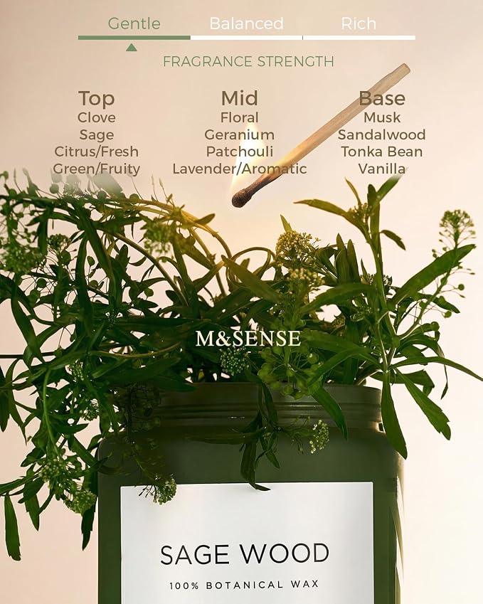 M&SENSE Sage Wood Scented Candles for Home, 19.4oz All Natural Soy Wax, 110 Hours Long Lasting, Clean Non Toxic Candle, Fresh Smelling for Relaxation Stress Relief, Fragrance Gifts for Men Women