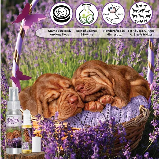The Blissful Dog Bloodhound Dog Relax Roll-ON Aromatherapy for Dogs - Anxiety Relief for Dogs
