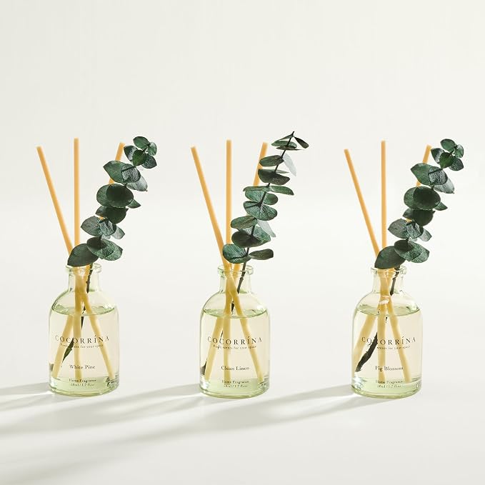 COCORRÍNA Eucalyptus Reed Diffuser Set of 3 - Clean Linen, White Pine, Fig Blossom Scents, 1.7 fl oz Each, Total 5.1 oz, Scented Oil Diffusers for Home & Office
