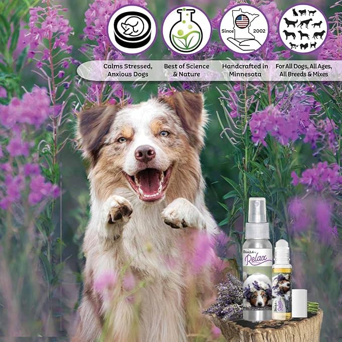 The Blissful Dog Australian Shepard Relax Dog Aromatherapy Spray for Your Dog's Anxiety