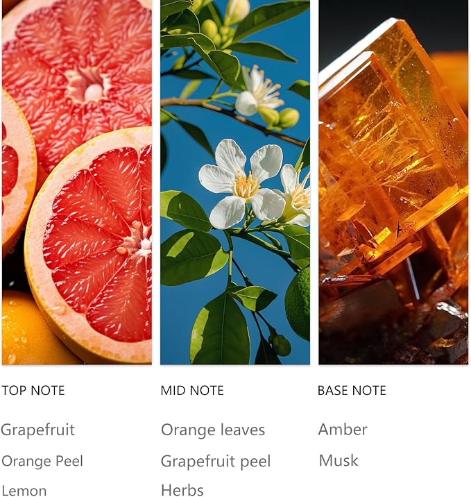 20ML Grapefruit Diffuser Oil Sampler Scented Oils for Waterless Diffuser, Aromatherapy Essential Oil with Festive Notes of Zesty Citrus, Amber