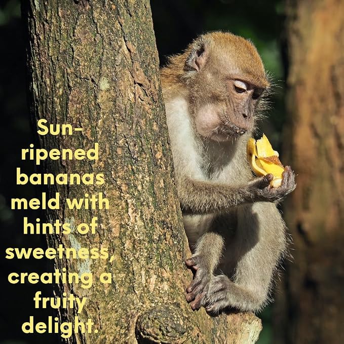 Monkey Farts Fragrance from Our Beach Collection - Perfect for Adding Aroma to Freshies, Candles, Soaps, and Diffusers - 8 Ounces